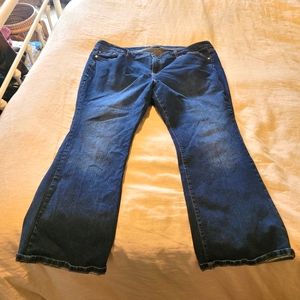 Torrid Boot cut jeans